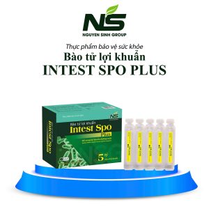 Bào tử lợi khuẩn Intest Spo Plus